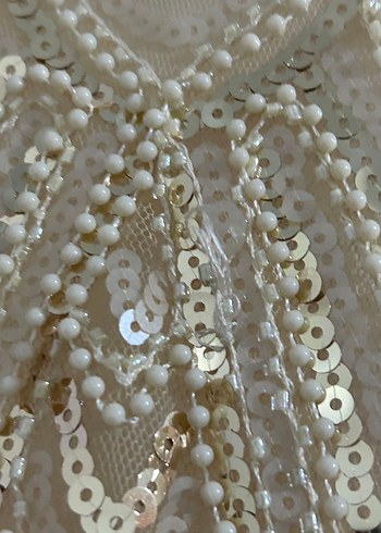 1920ler Vintage Tarz Bej Abiye Elbise - Görsel 5