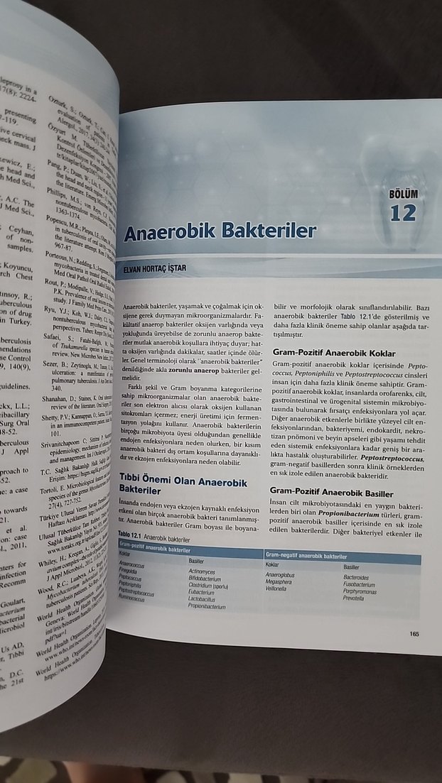 Diş Hekimliğinde Mikrobiyoloji - Görsel 2