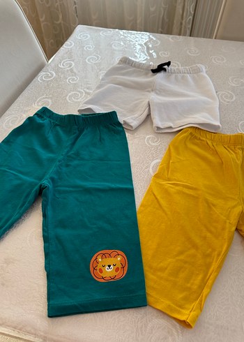 Renkli Elastik Bel Erkek Çocuk Şort ve Kapri - Görsel 3