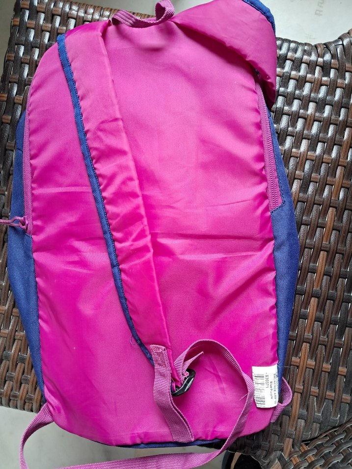 Quechua  Sırt Çantası - Mavi - Görsel 3