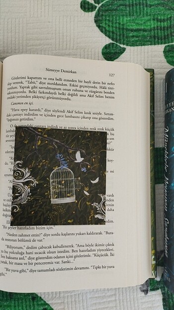 MÜREKKEBE BOYANAN SARDUNYA (ciltli)  - Görsel 4