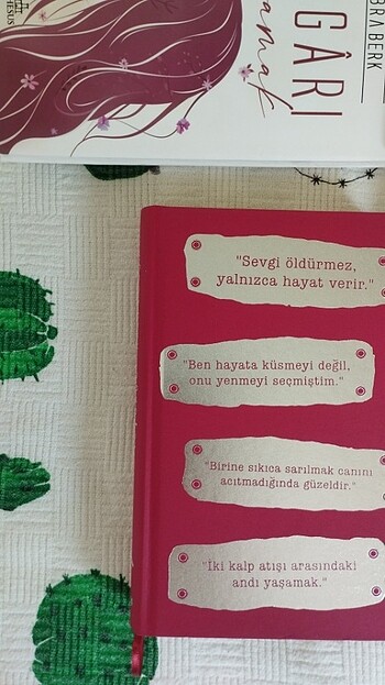 RÜZGARI YAŞAMAK -  RÜZGARA DOKUNMAK (Ciltli)  - Görsel 3