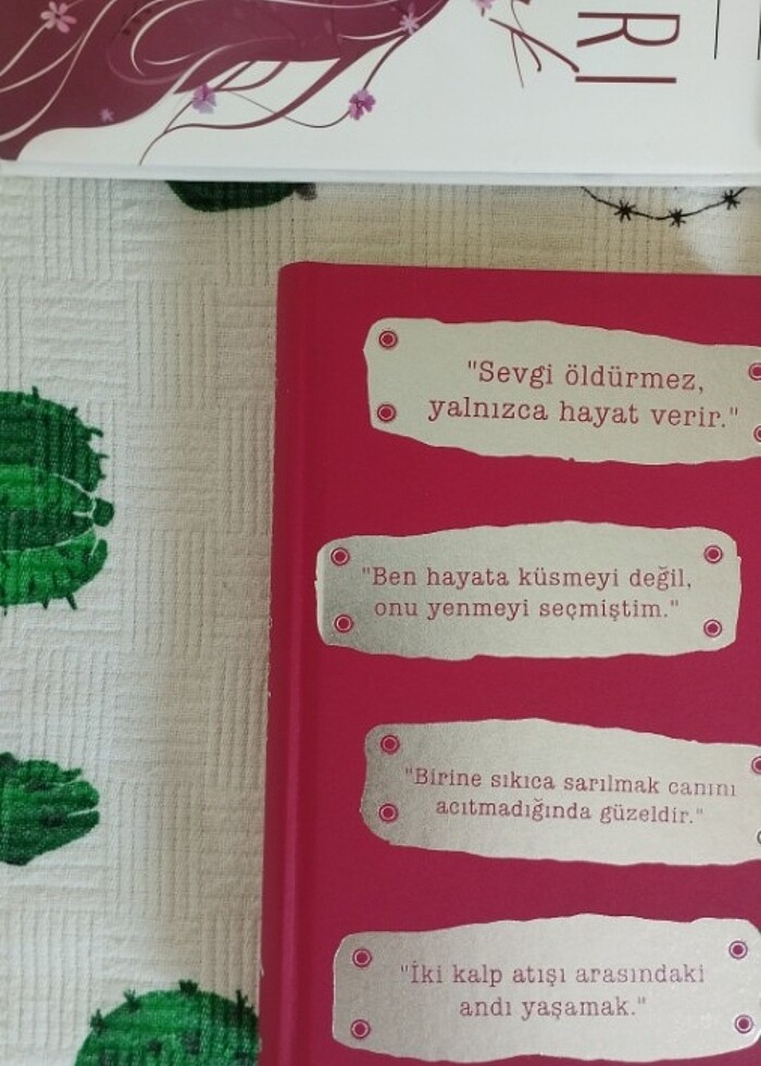 RÜZGARI YAŞAMAK -  RÜZGARA DOKUNMAK (Ciltli)  - Görsel 3