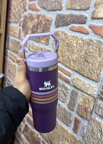 Stanley Mor Renkli Termos 710ml - Görsel 3