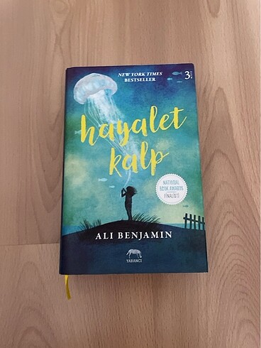 hayalet kalp kitabı