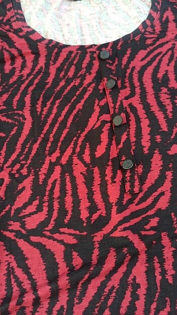 LC civakiki  - Görsel 4