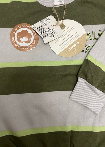 LCW BABY Gri ve Yeşil Çizgili Erkek Çocuk Sweatshirt - Görsel 5