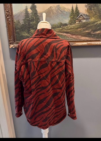 Düğmeli Zebra Desenli Bohem Kadın Gömlek - Görsel 2