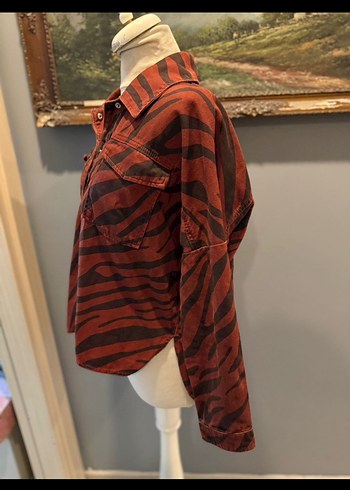 Düğmeli Zebra Desenli Bohem Kadın Gömlek - Görsel 3