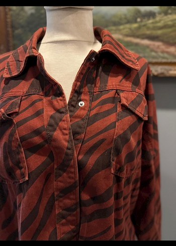 Düğmeli Zebra Desenli Bohem Kadın Gömlek - Görsel 4