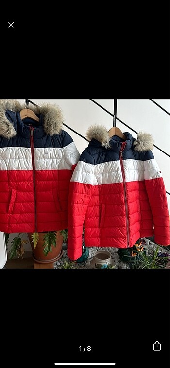 xl Beden çeşitli Renk Sıfır ayarında XL ve M TOMMY mont