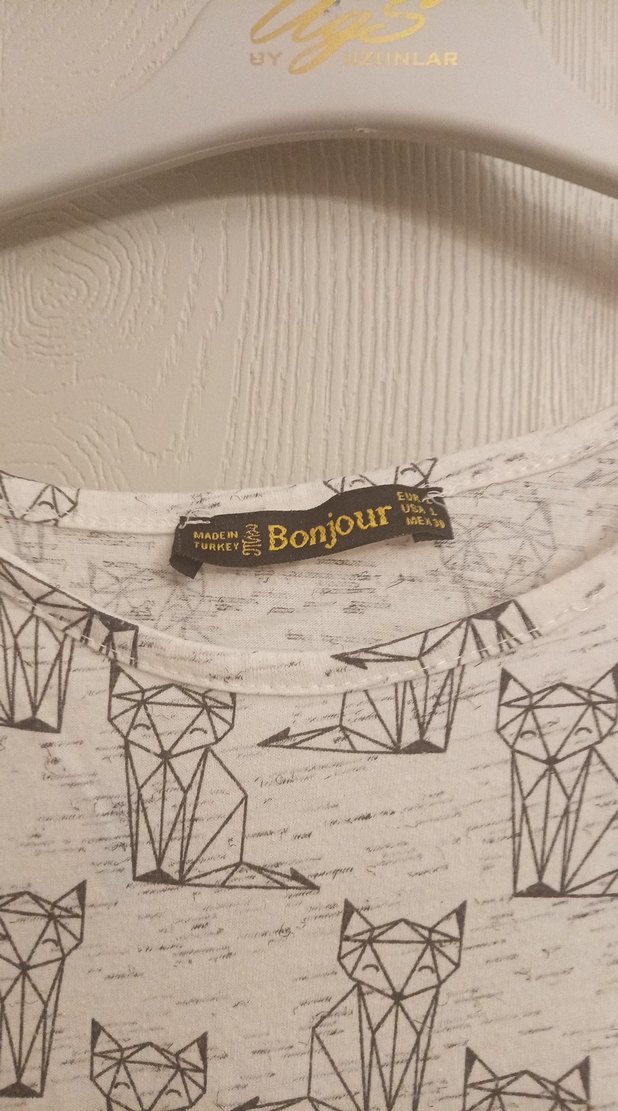 Gri kedi Baskılı elbise - Görsel 2