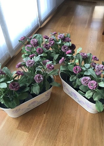 Ikea 6 adet balkon yapay VAZOLU çiçekler