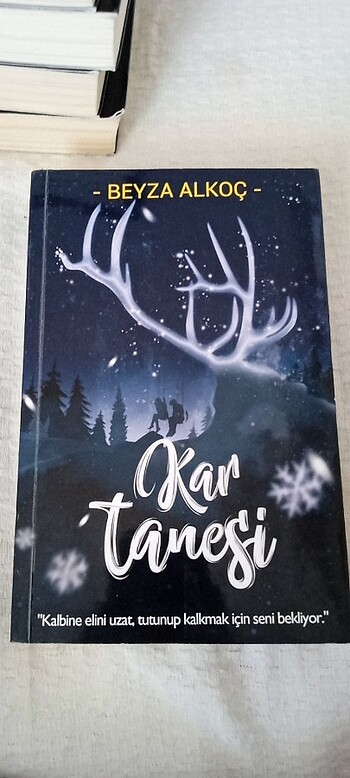 KAR TANESİ BEYZA ALKOÇ 