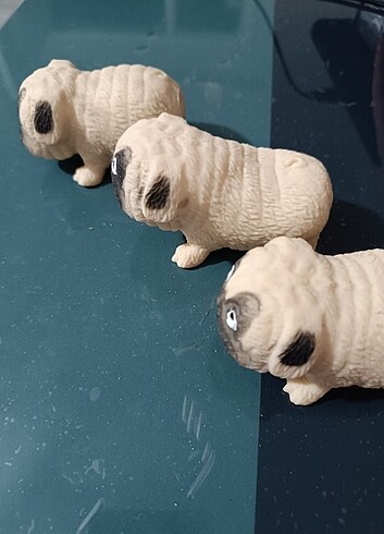 Beden Her yaşa uygun esnek, eğlenceli can dost Pug