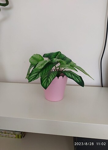 İkea saksı ve ikea yapay bitki - Görsel 2