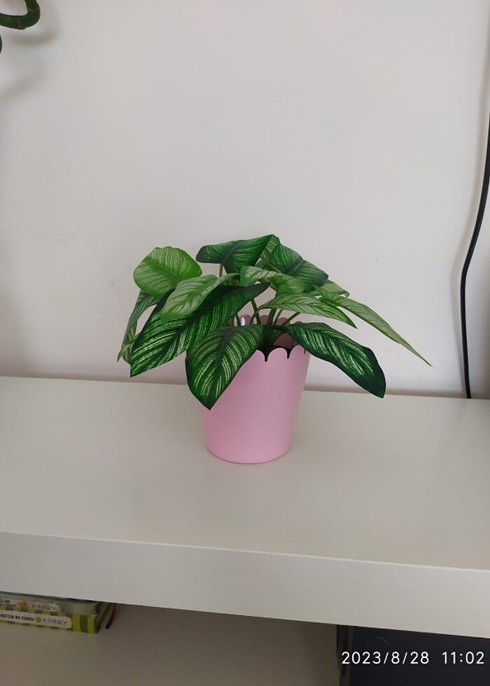 İkea saksı ve ikea yapay bitki  - Görsel 2