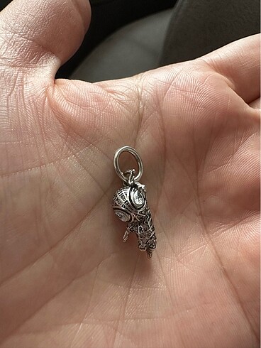 Pandora charm