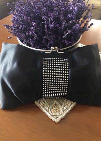 Amerikadan  USC  Saten - Görsel 6