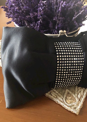 Amerikadan  USC  Saten - Görsel 2