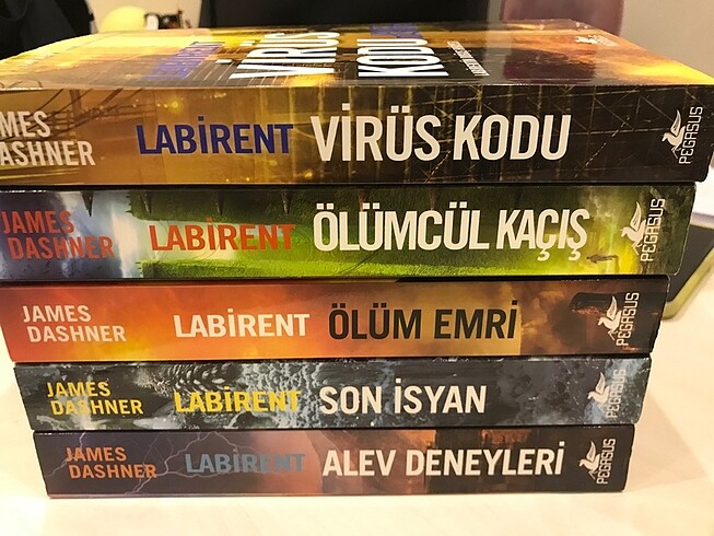 Labirent serisi (beş kitap)