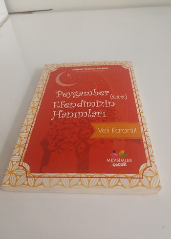 Peygamber Efendimizin Hanımları - Veli Karanfil