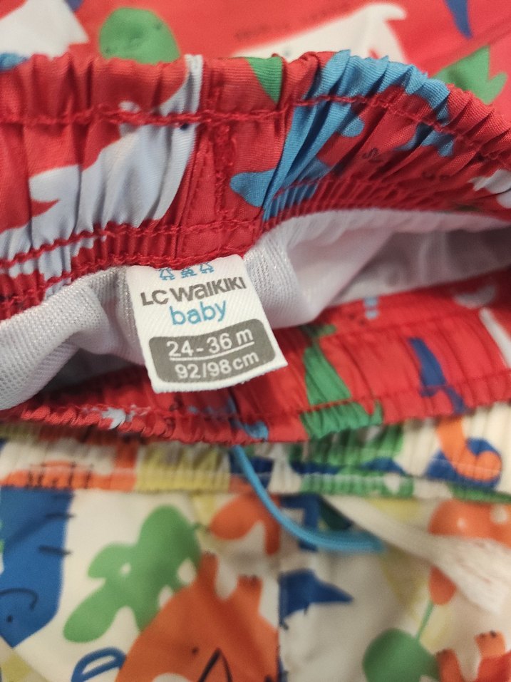 Renkli Baskılı Erkek Şortlar - Görsel 3