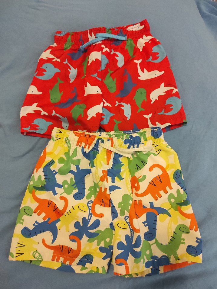 Renkli Baskılı Erkek Şortlar - Görsel 4