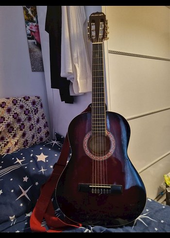masterwork MWC 3600 WRS 4/4 gitar (set)