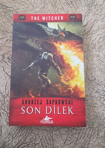 The Witcher - Son Dilek Roman