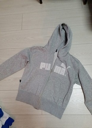 Puma sweet 