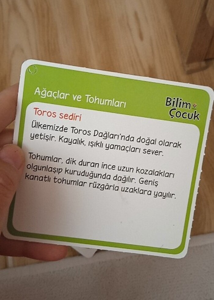 Bitki Bilgi Kartları - Görsel 2