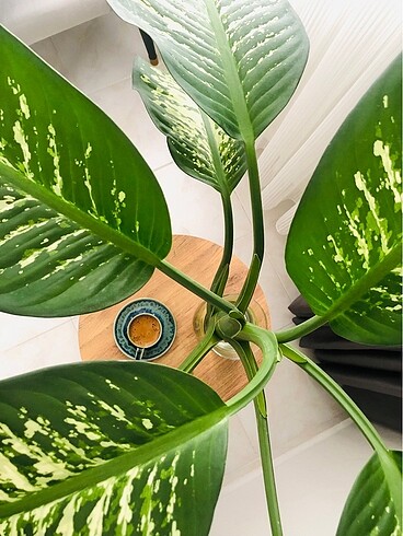 Madame Coco 2 li Fincan Takımı - Görsel 5