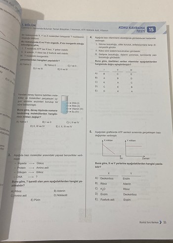  TYT Biyoloji MSB Eğitim Vadisi Çoklu Soru Bankası