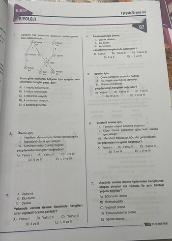Beden Renk Efsane 10. Sınıf Biyoloji Yaprak Test Açı yayınları