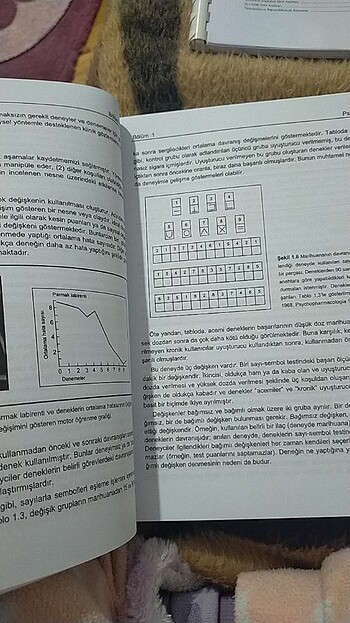  Beden Psikolojiye giriş kitap