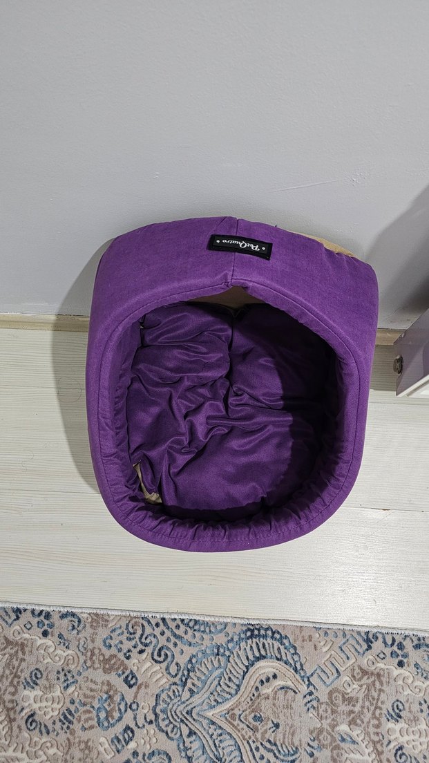 PetQuatro Minderli Mor Kedi Yatağı - Görsel 2