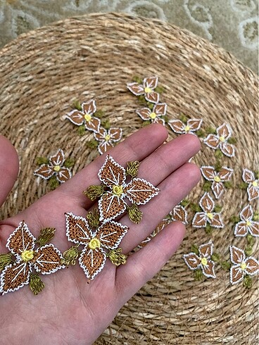 Beden Motif