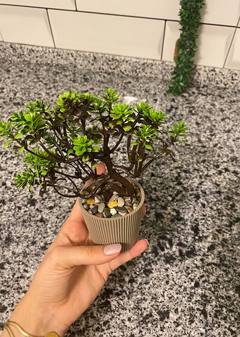 Süs bitki ve kapı askılığı - Görsel 2