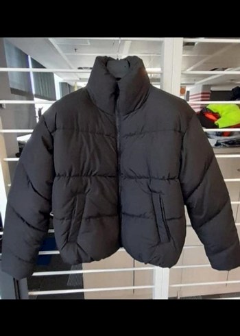 Koton m