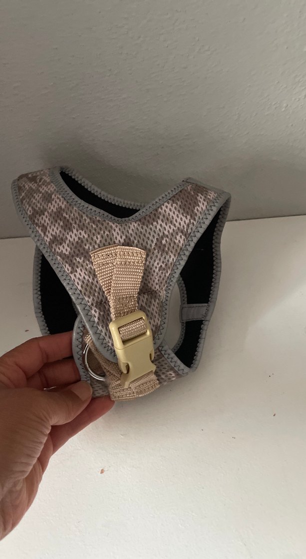 Kedi taşması - Görsel 2