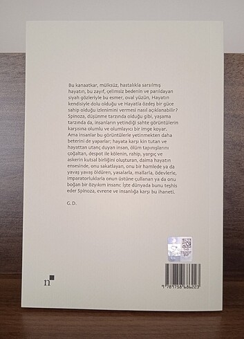 Beden Renk Spinoza: Pratik Felsefe