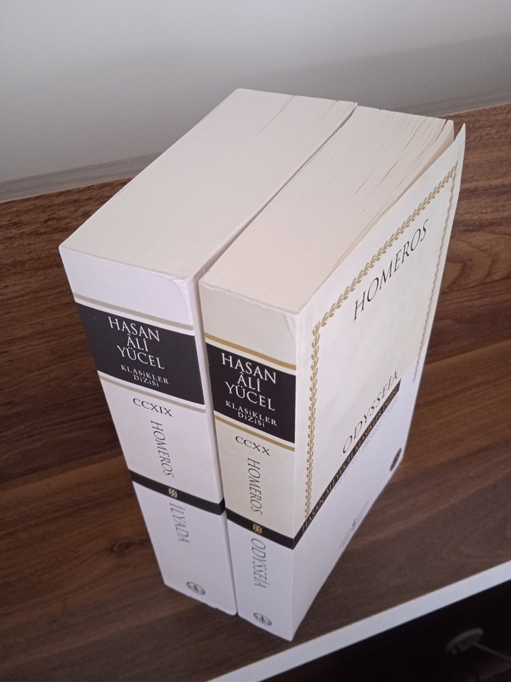 İlyada ve Odysseia - Homeros - Görsel 2