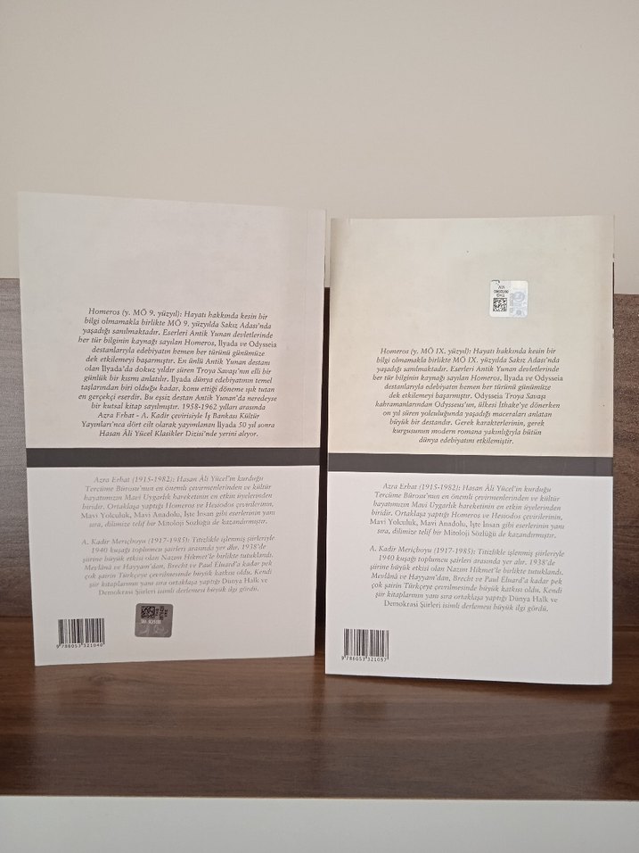 İlyada ve Odysseia - Homeros - Görsel 4