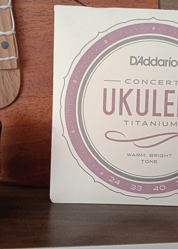 Ortega RU5MM Concert Ukulele ve Aksesuarlar - Görsel 10