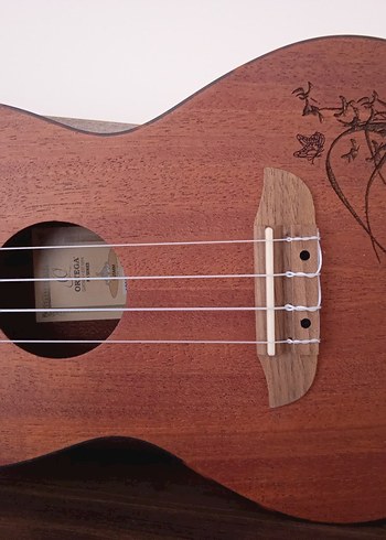 Ortega RU5MM Concert Ukulele ve Aksesuarlar - Görsel 2