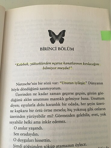  kelebeği öldürmek
