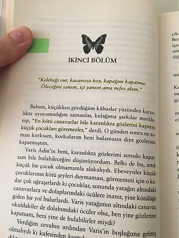  Beden Renk kelebeği öldürmek