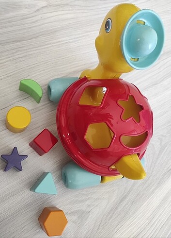 Bultak Oyuncak Kaplumbağa