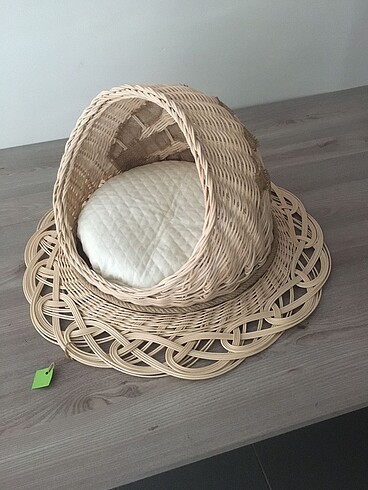 Kedi evi